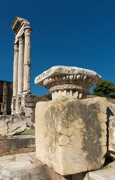 istock Columns in the Roman Forum (Portrait) 146768871