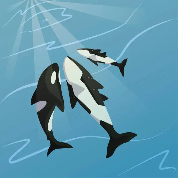 Vector illustration of illustration of whales together at the bottom of the sea