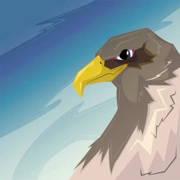 Vector illustration of illustration of serious eagle in profile in the sky