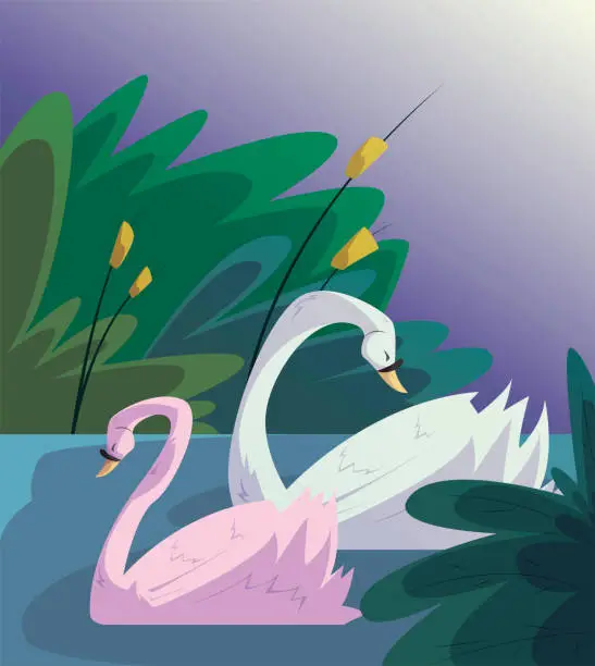 Vector illustration of illustration of swans in a beautiful lake