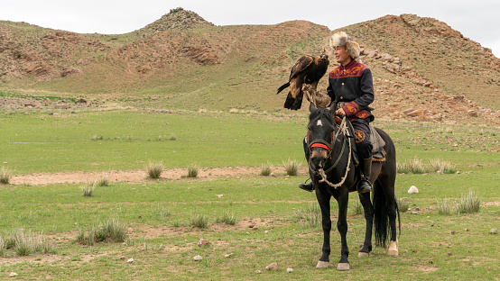 Issyk Kul, Kyrgyzstan - May 2022: Eagle trainer on a horse and his golden eagle, skilled in training eagles for hunting, using traditional techniques passed down through generations