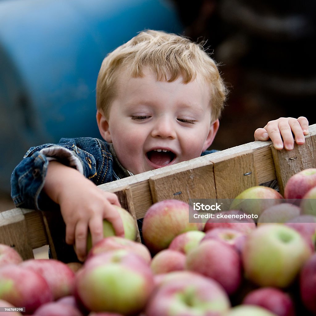 Petit garçon cueillir des pommes - Photo de Salon de l'agriculture libre de droits