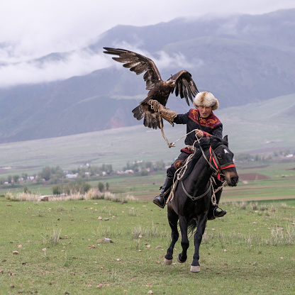 Issyk Kul, Kyrgyzstan - May 2022: Eagle trainer on a horse and his golden eagle, skilled in training eagles for hunting, using traditional techniques passed down through generations