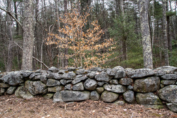 istock winters  day at quabbin reservoir 1467701201