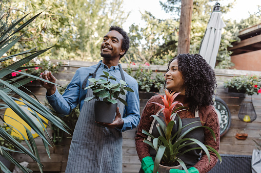 Young African-American couple examining plants in the garden