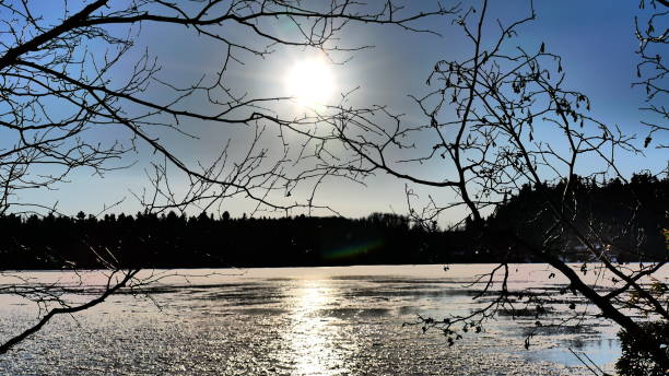 istock Sun illuminating the frozen river through the foliage-free trees 1467702221