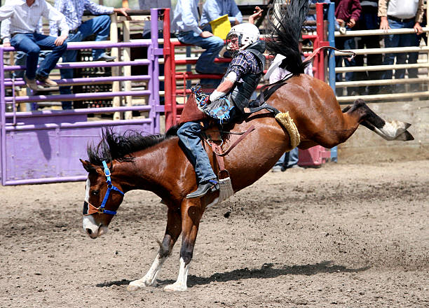 Foto de Bucking Bronc en el Rodeo - foto de stock