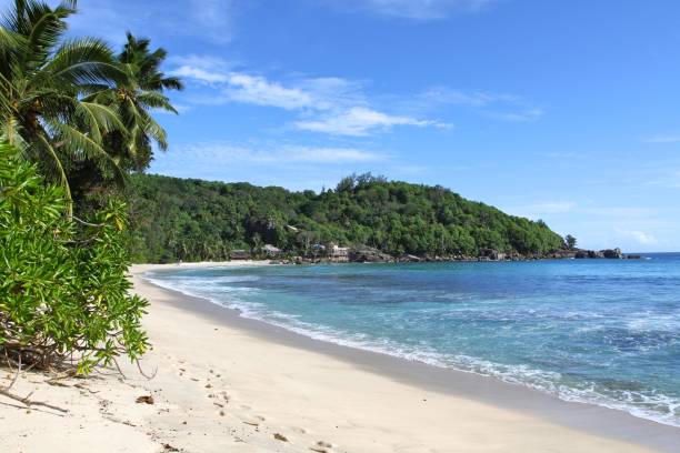 istock Desert long white sand beach in Mahe island, Seychelles 1467704018
