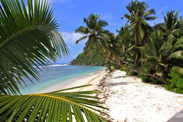 istock Tropical exotic beach panorama, mahe island, Seychelles 1467704052