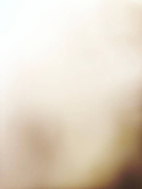 istock Modeled Brown and Gray Color Field 1467706525