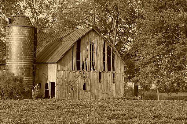 Barn stock photo