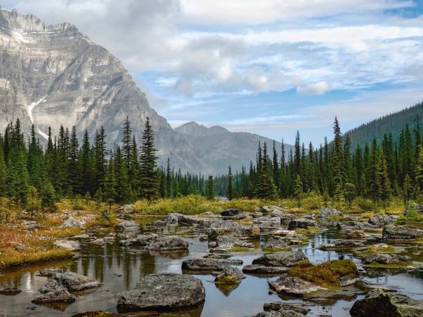 istock Looking along Babel Creek towards Consolation Lakes in Alberta, Canada 1467707458