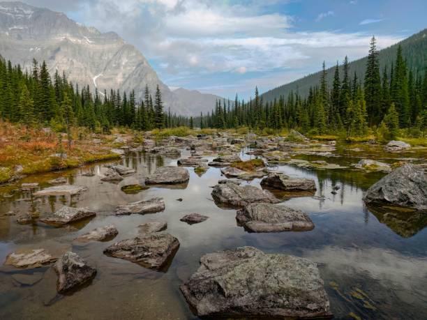 istock Looking along Babel Creek towards Consolation Lakes in Alberta, Canada 1467707460