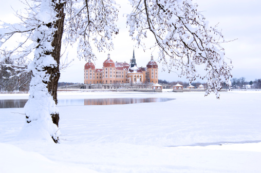 Weimar, Germany - January 03, 2021: The Weimar Residence Palace stands near the historic centre of Weimar on the edge of the Ilmpark.