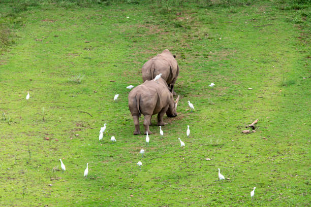 Photo taken in Nairobi, Kenya