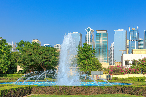 A typical example of urban landscaping in the modern Arabian city of Dubai, in the United Arab Emirates. In the background are skyscrapers of the area known as Jumeirah Lake Towers or JLT. In the foreground, date palms, flowering shrubs and lawns. It is hard to believe that this is the Arabian desert; every blade of grass is artificially grown. A freshly trimmed hedge is seen in the foreground. In the background are also some villas by the roadside. Photo shot in the morning sunlight; horizontal format. Copy space. No people.