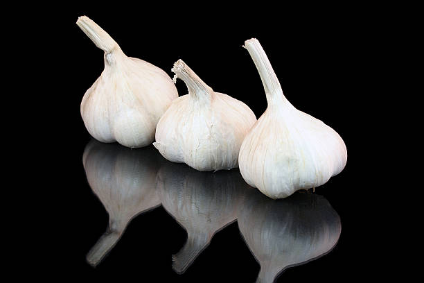 Three healthy garlic stock photo