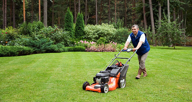 Mature man pushing a lawnmower round a lawn