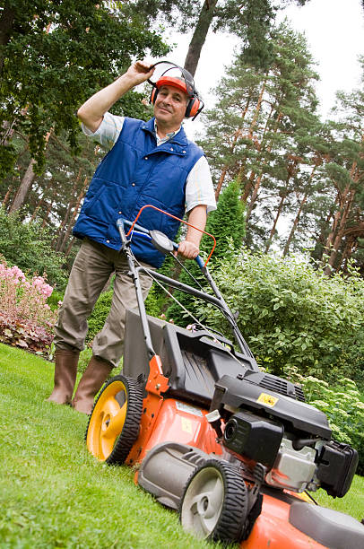 istock Older man operating lawnmower on the grass 146771791