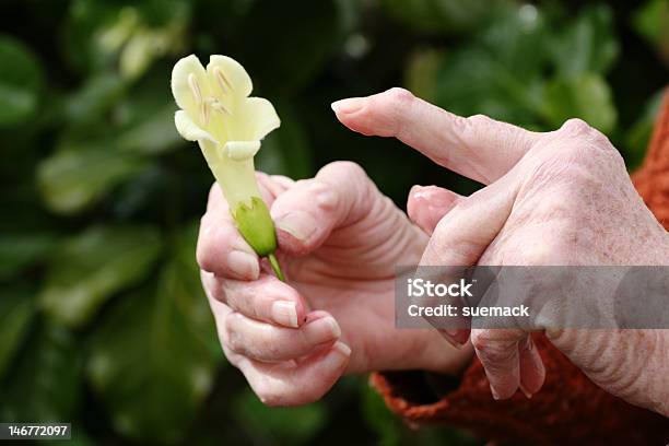 Photo libre de droit de Dans Les Articulations Mains Dans Le Jardin banque d'images et plus d'images libres de droit de Rhumatisme articulaire - Rhumatisme articulaire, Adulte, Arthrite