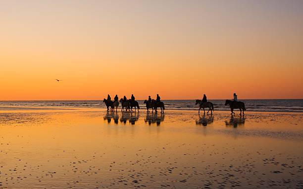 istock Horse riders silhouetted on the beach at sunset 146772264