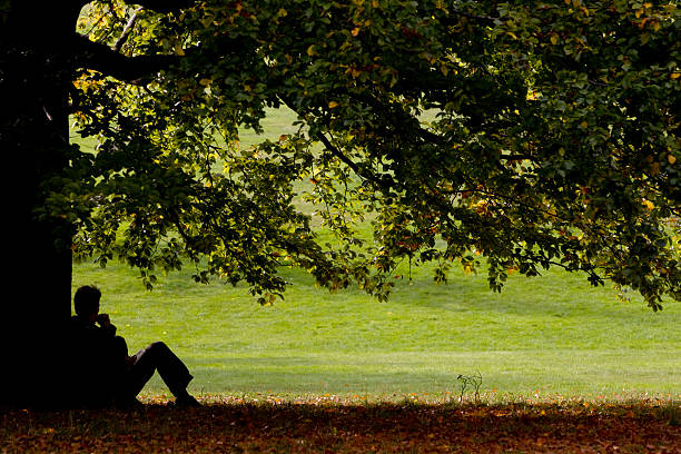 fallen - contemplation silhouette tree men stock-fotos und bilder