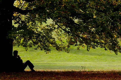 A man sitting under a tree deep in thought. 