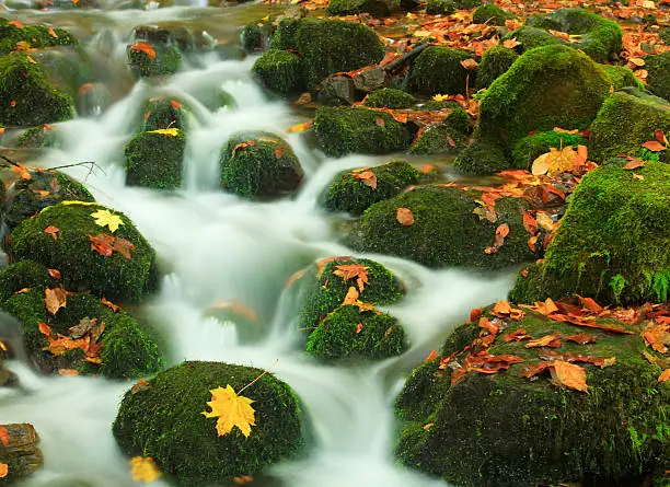 Photo of Waterfall