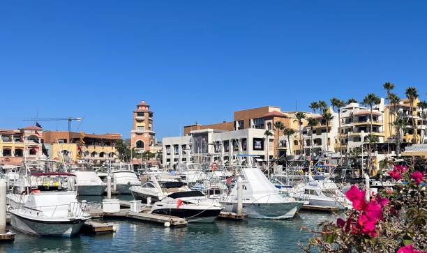 istock Cabo San Lucas Marina 1467733991