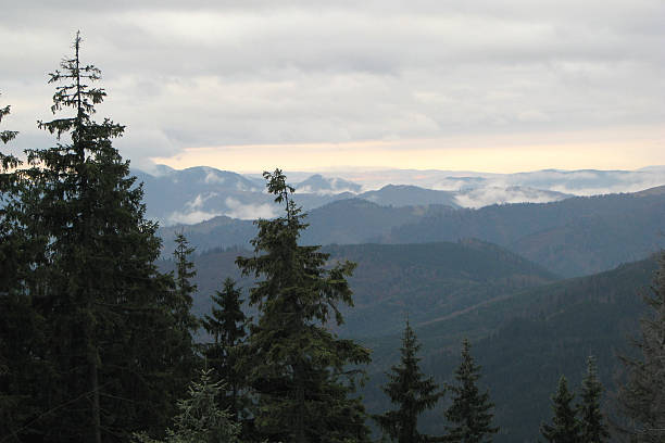 Misty ridge. stock photo