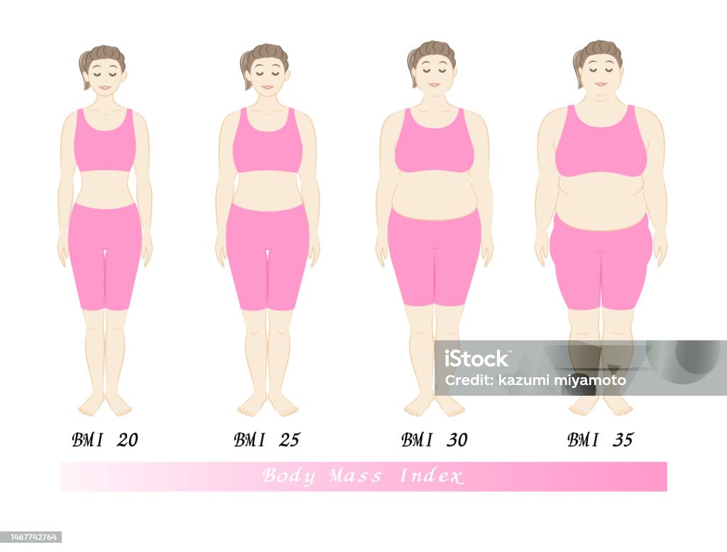Bmi Change Body Shape Changes In Young Women According To Bmi Index Illustration ...