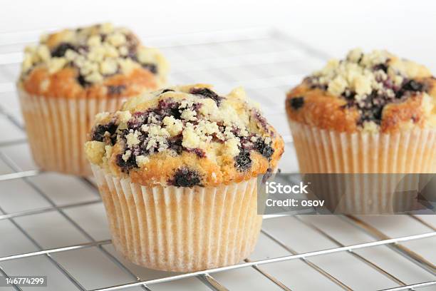 Muffins De Mirtilo - Fotografias de stock e mais imagens de Muffin de Mirtilo - Muffin de Mirtilo, Assado no Forno, Bolo - Sobremesa