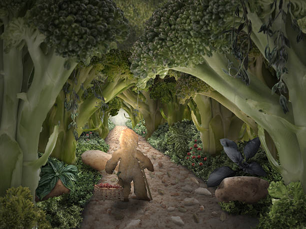 Follow the gingerbread road