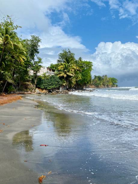 istock Black sand beach in Basse-Terre Guadeloupe 1467744282