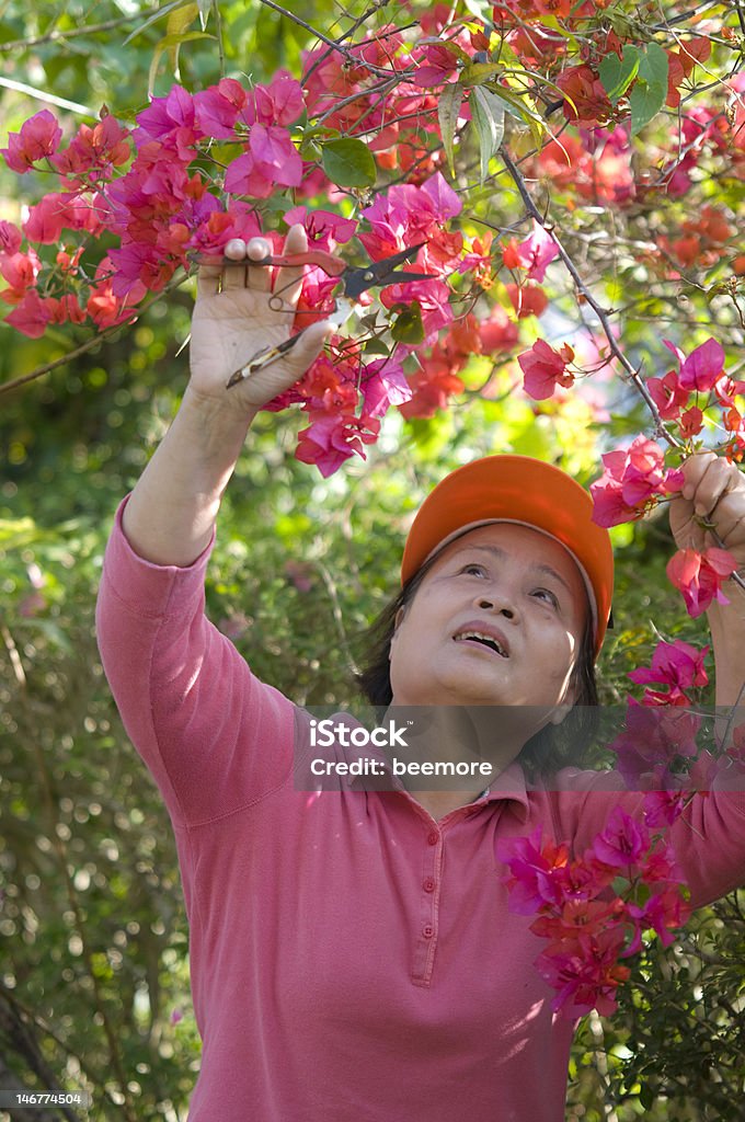 Travaux de jardinage - Photo de Adulte libre de droits