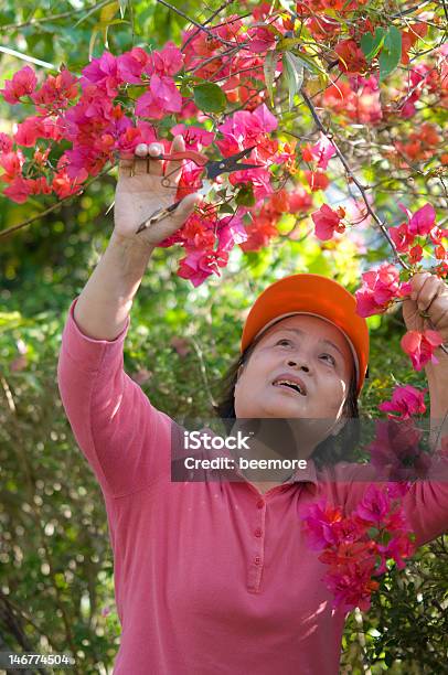 Giardinaggio Lavoro - Fotografie stock e altre immagini di Adulto - Adulto, Allegro, Allerta