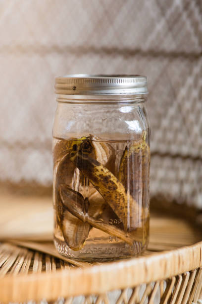 A Large Glass Mason Jar With Brown Banana Peels & Water for a Natural Plant Fertilizer or Plant Tea, A Nutrient-Rich Fertilizer for all Plants.
Store in the refrigerator and add an ounce to your watering can with more water to strengthen your plants with rich potassium. un frasco grande de vidrio con cáscaras de plátano marrón y agua para un fertilizante natural casero para plantas o té de plantas, un fertilizante rico en nutrientes para todas las plantas hecho de manera sostenible, estilo de vida sin desperdicios