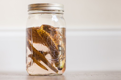 A Large Glass Mason Jar With Brown Banana Peels & Water for a Natural Plant Fertilizer or Plant Tea, A Nutrient-Rich Fertilizer for all Plants.

Store in the refrigerator and add an ounce to your watering can with more water to strengthen your plants with rich potassium.