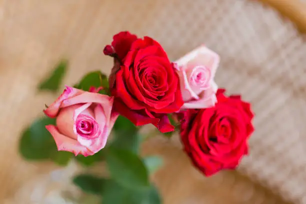Photo of Intricate & Festive Red & Pink Roses With a Rattan Background in Bright Natural Light for Valentine's Day in 2023