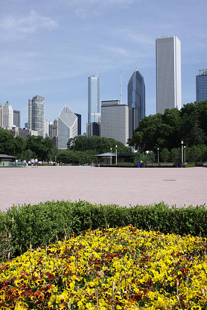 istock Downtown Chicago viewed from the Buckingham Fountain area 146774704