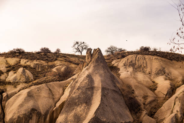istock Fairy Chimneys in Cappadocia 1467747494