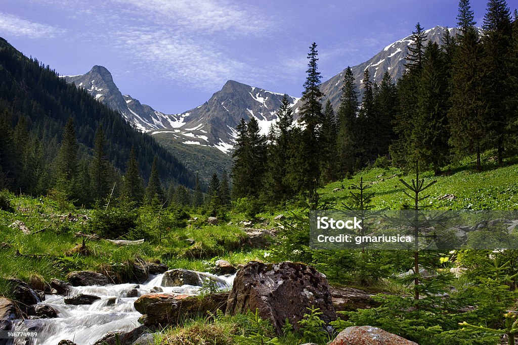 View of mountains from lush valley Fagaras Mountains Romania Carpathian Mountain Range Stock Photo