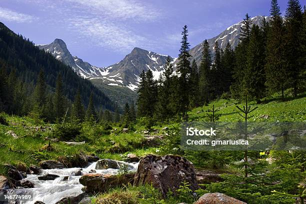 View Of Mountains From Lush Valley Stock Photo - Download Image Now - Carpathian Mountain Range, Extreme Terrain, Horizontal