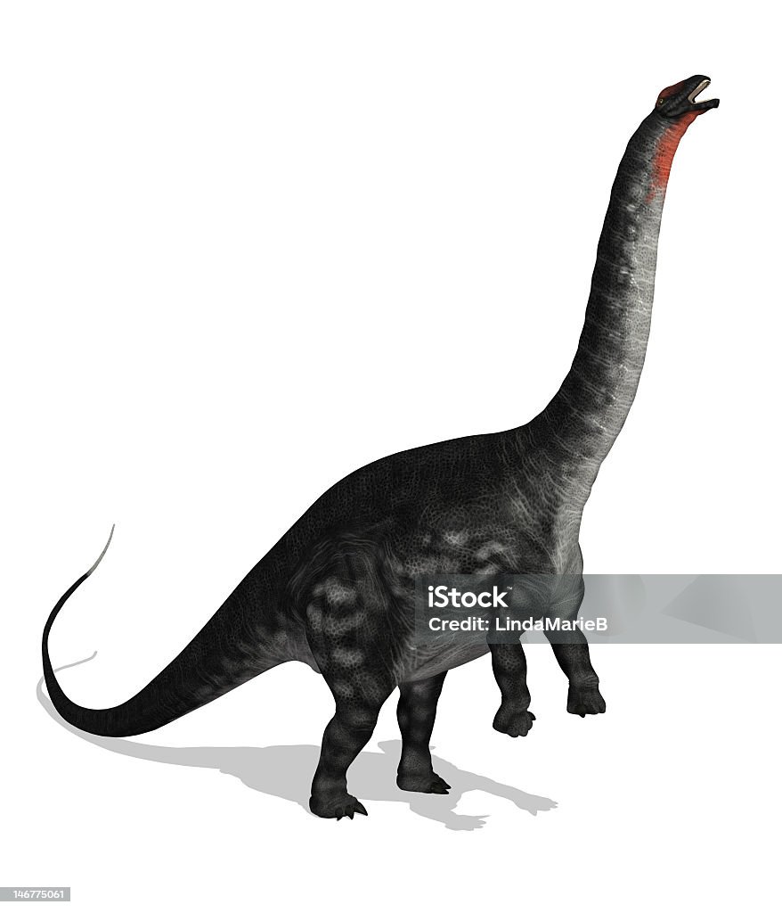 Apatosaurus chegar - Foto de stock de Brontossauro royalty-free