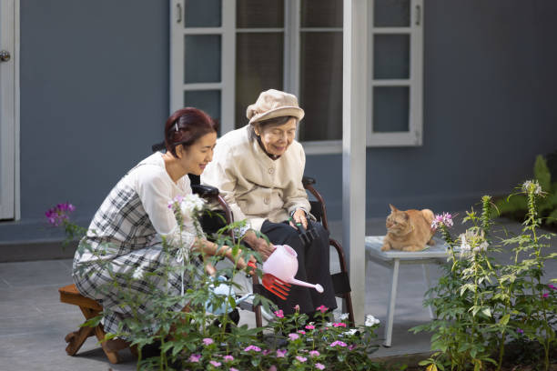Elderly woman gardening in frontyard with daughter and cat. Elderly woman gardening in frontyard with daughter and cat. aging population stock pictures, royalty-free photos & images