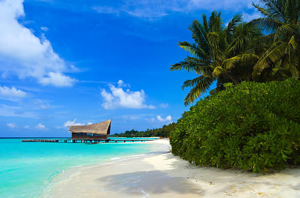 istock Diving club on a tropical island 146775485