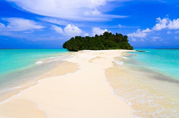 istock Tropical island and sand bank 146775486
