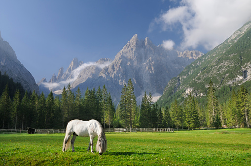 Summer view of the Fiscalina Valley (Fischleintal) in the Dolomites.