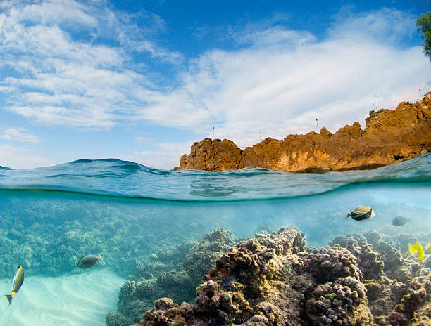 Black Rock, Maui.  Underwater photography 