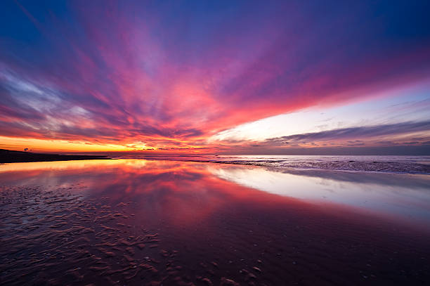 istock Sunset beach in the Netherlands 146776050